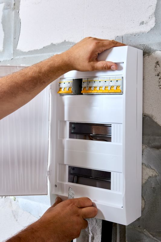 Electrical Panel Renovation