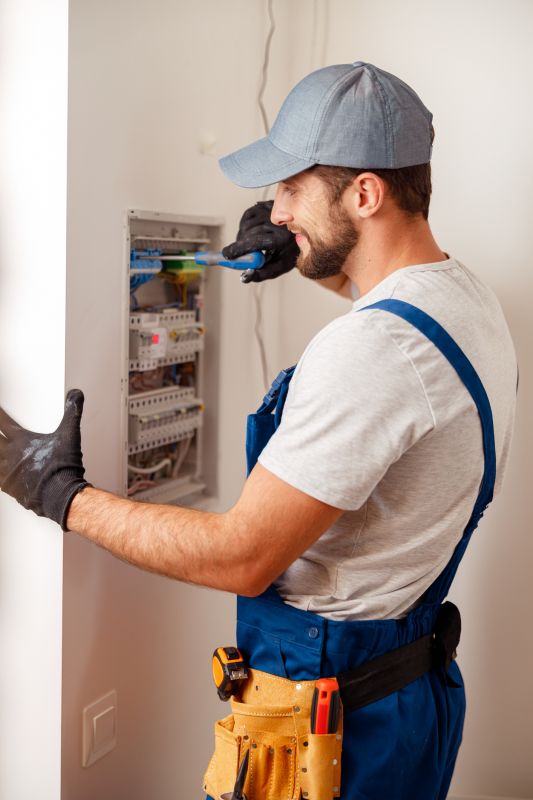 Electrical Panel Renovation