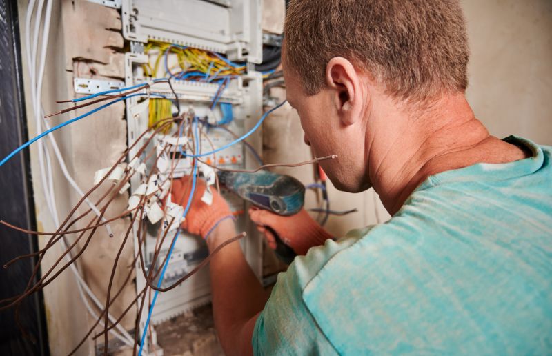 Electrical Panel Renovation